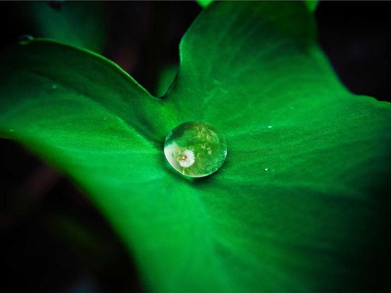 SaaS Analytics Dashboard